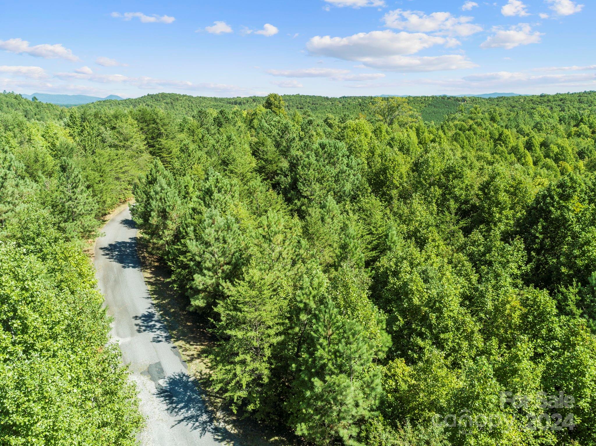 0 Hope Drive Rutherfordton, NC 28139 - Photo 3 of 22 a view of a lush green space with sea