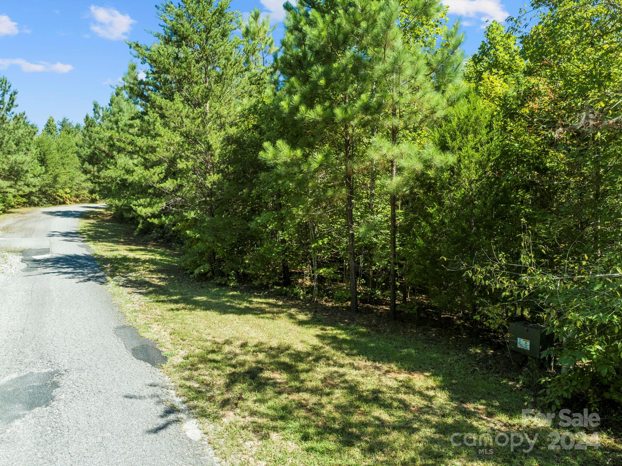0 Hope Drive Rutherfordton, NC 28139 - Photo 4 of 22 a view of lake view