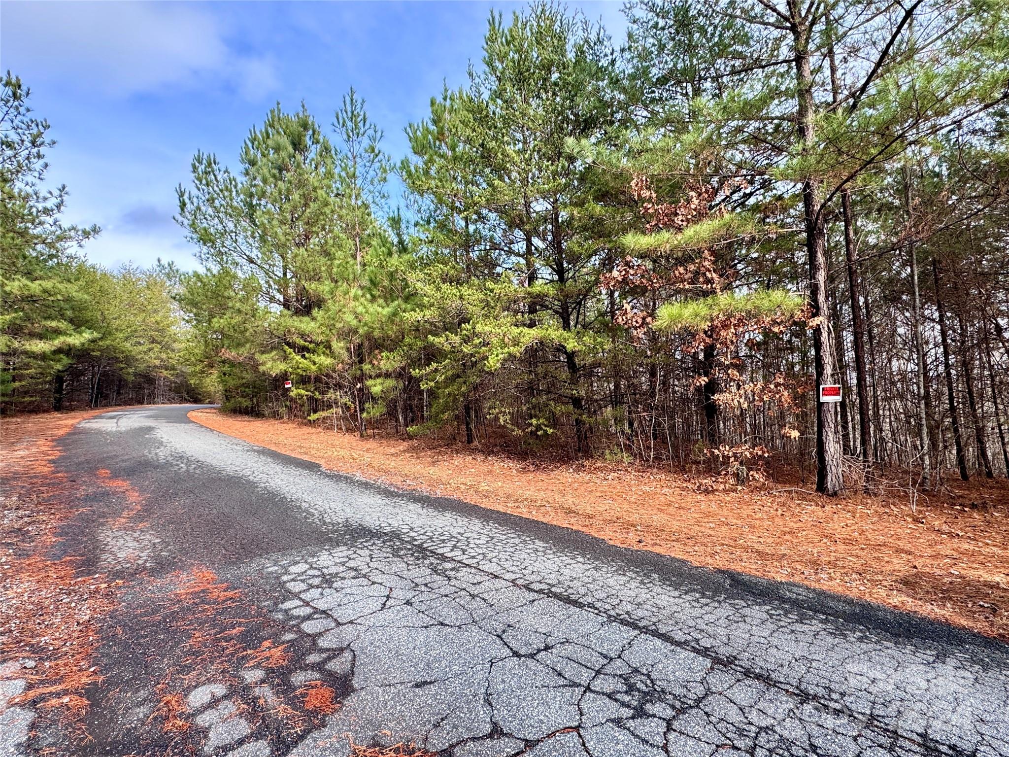 0 Hope Drive Rutherfordton, NC 28139 - Photo 5 of 22 a view of a yard with trees