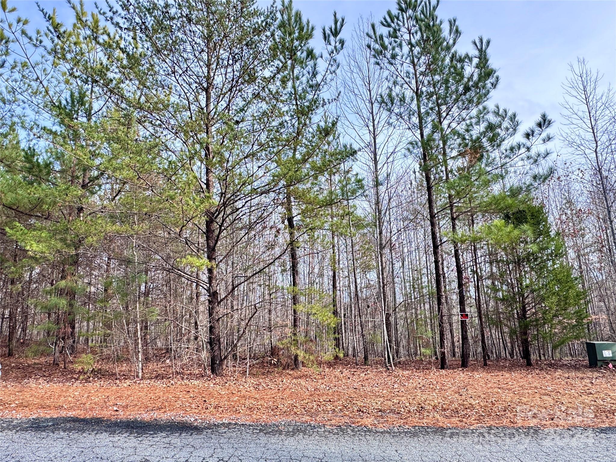 0 Hope Drive Rutherfordton, NC 28139 - Photo 6 of 22 a view of outdoor space with trees