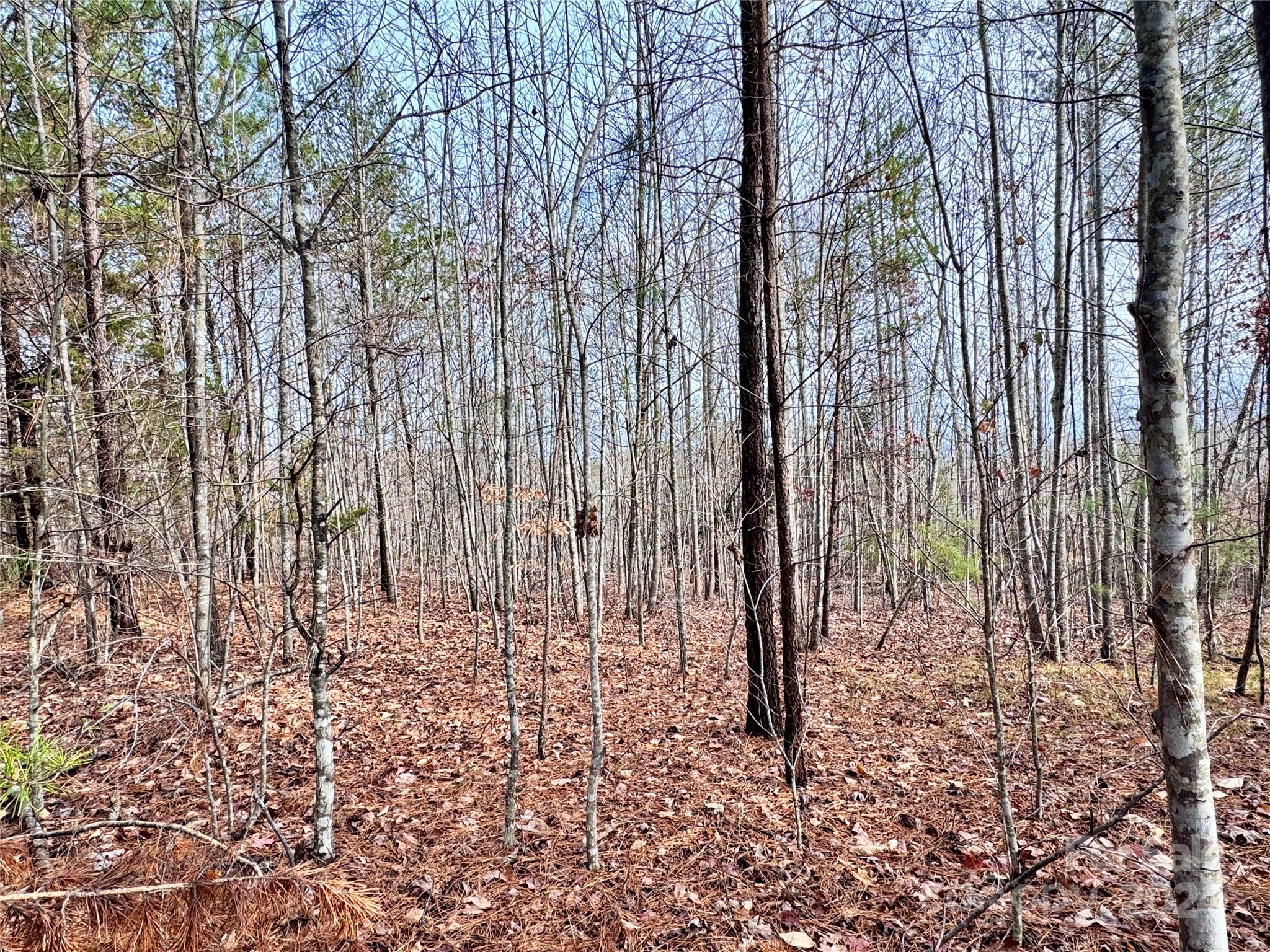 0 Hope Drive Rutherfordton, NC 28139 - Photo 7 of 22