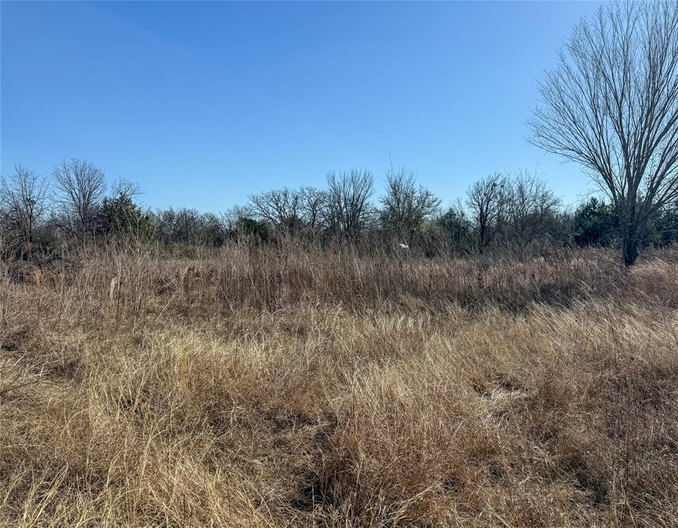 110 Weeks Road Cleburne, TX 76031 - Photo 3 of 4 a view of a forest with a tree in the background