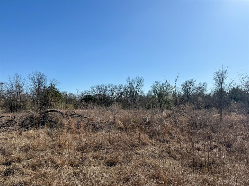 110 Weeks Road Cleburne, TX 76031 - Photo 4 of 4 a view of a dry yard with trees in the background
