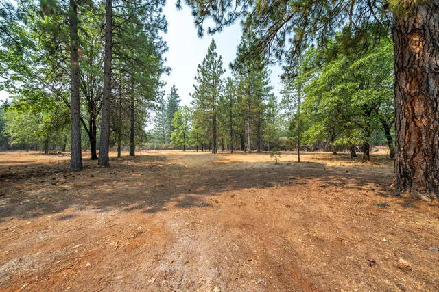 $289,600 | 29061 South Cow Creek Road, Whitmore, CA 96096