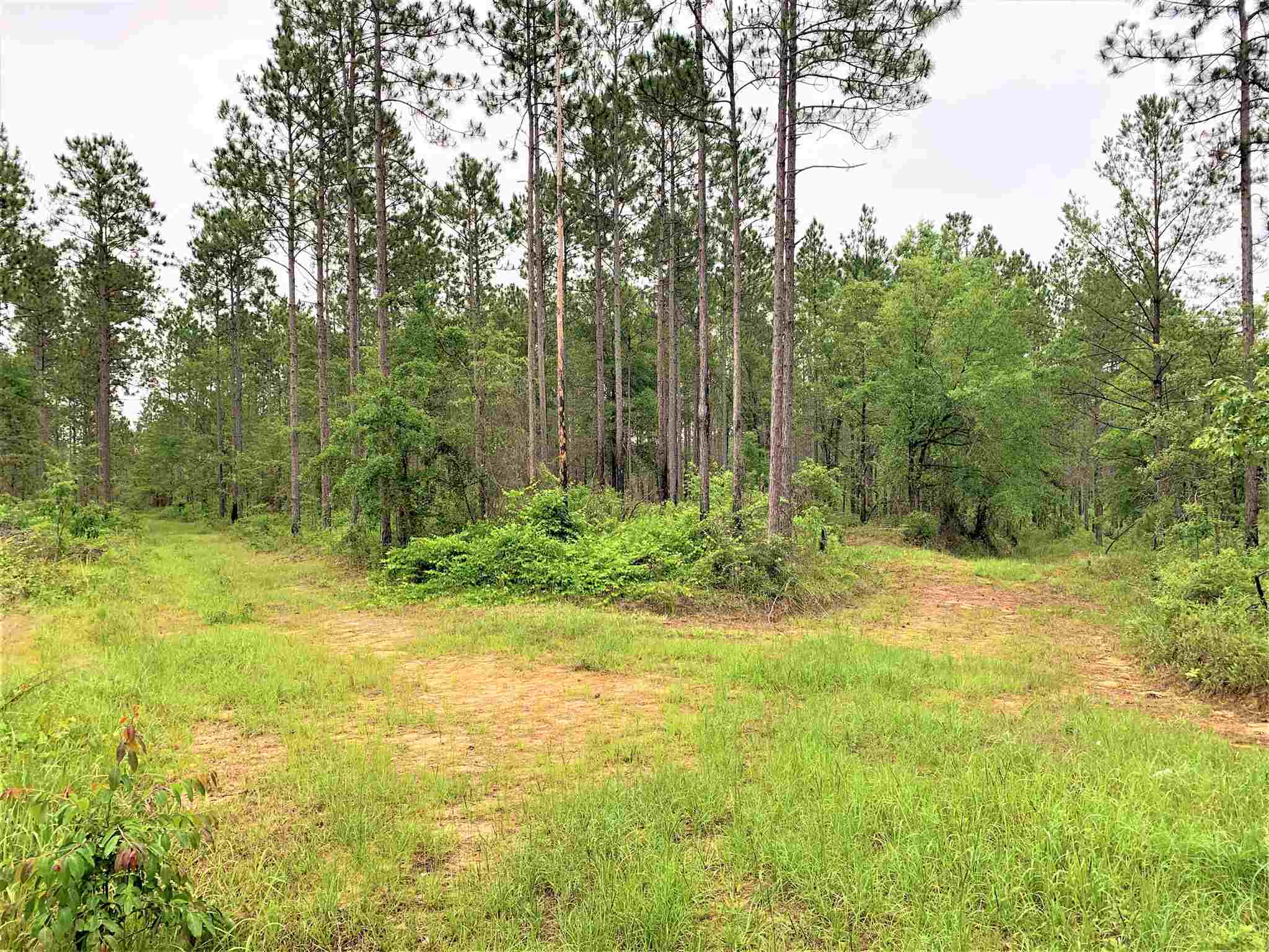 0 Dyas Road Perdido, AL 36562 - Photo 1 of 7