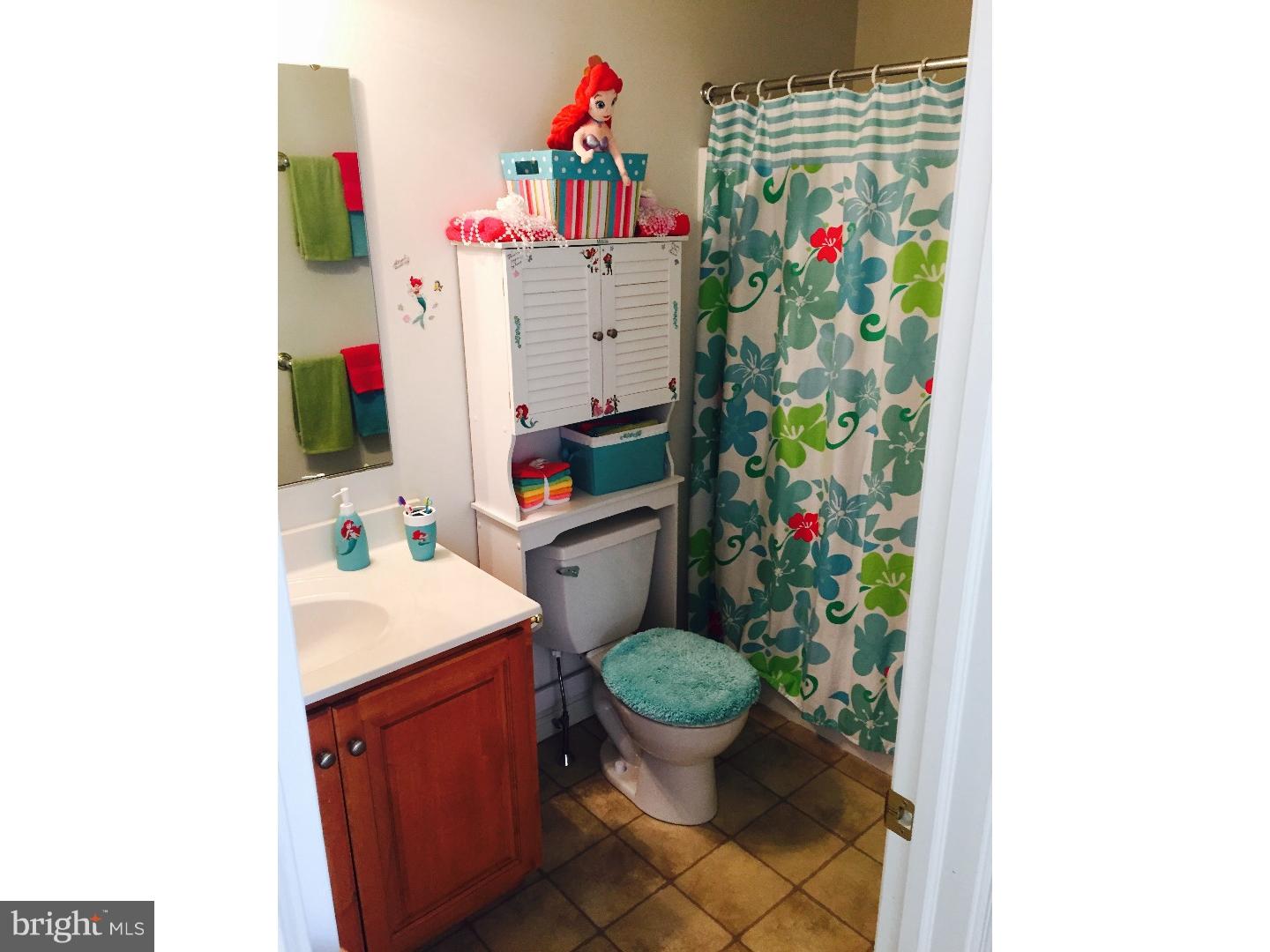 2509 Overland Avenue Sinking Spring, PA 19608 - Photo 18 of 24