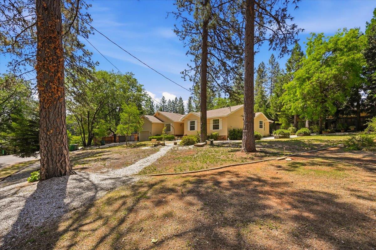 12600 Friar Tuck Road Grass Valley, CA 95949 - Photo 41 of 56 a view of a yard with plants and trees