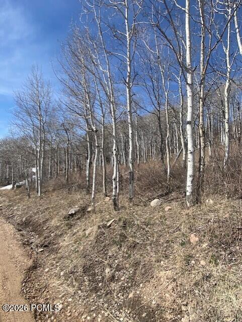 2604 South Forest Meadow Road Coalville, UT 84017 - Photo 17 of 28