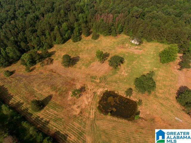 0 Stone Ridge Trail, Unit 50 87 Anniston, AL 36207 - Photo 4 of 15