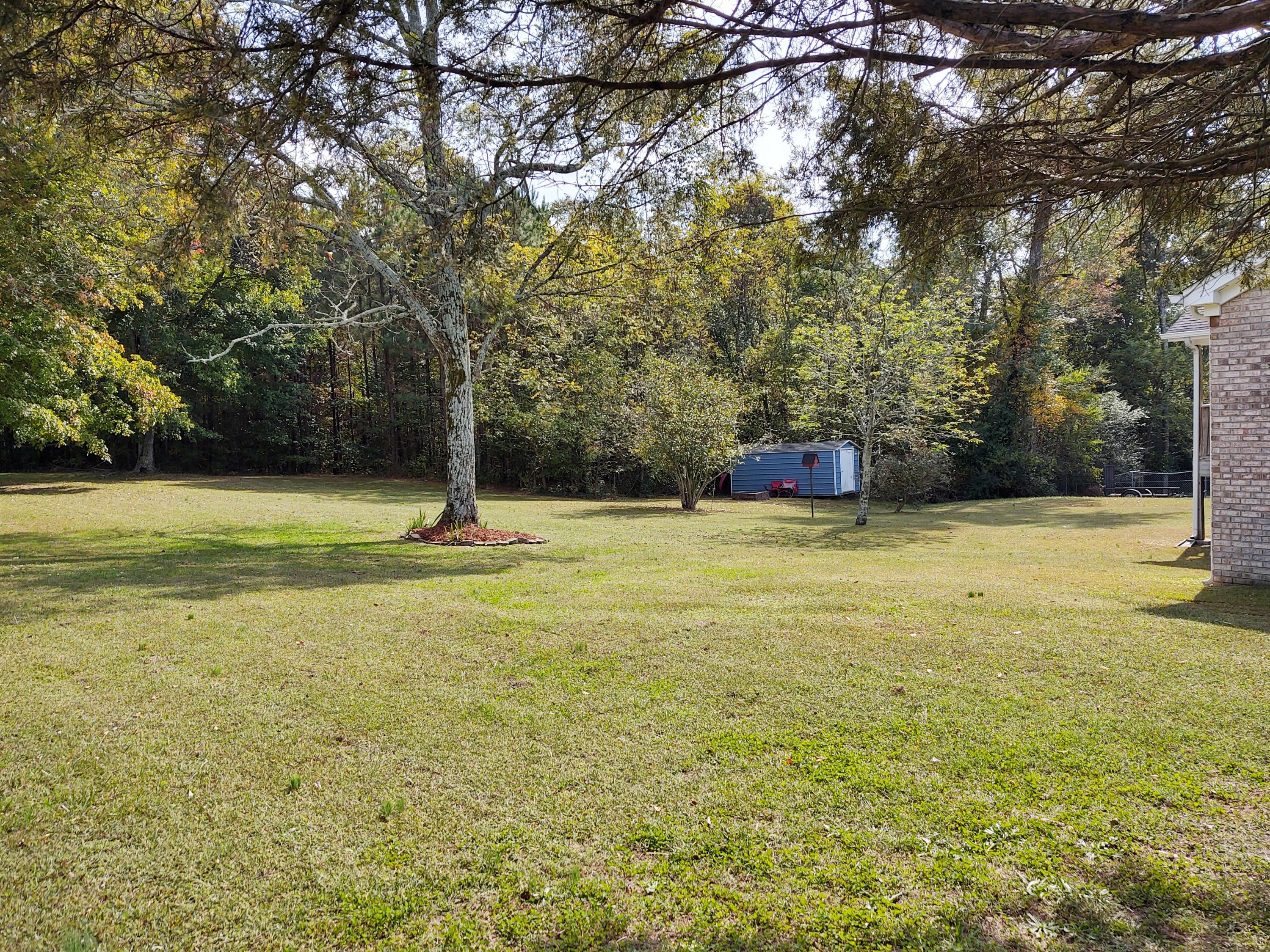 66 Cummings Road Ringgold, GA 30736 - Photo 33 of 35 back yard from side