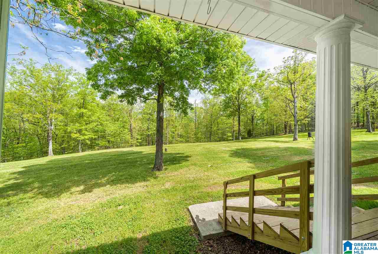 9235 Old Springville Road Trussville, AL 35173 - Photo 40 of 50