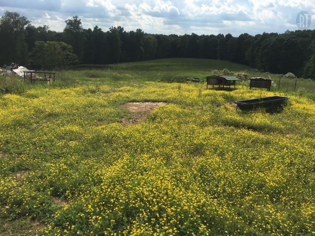 1733 Wixtown Road Westmoreland, TN 37186 - Photo 11 of 11