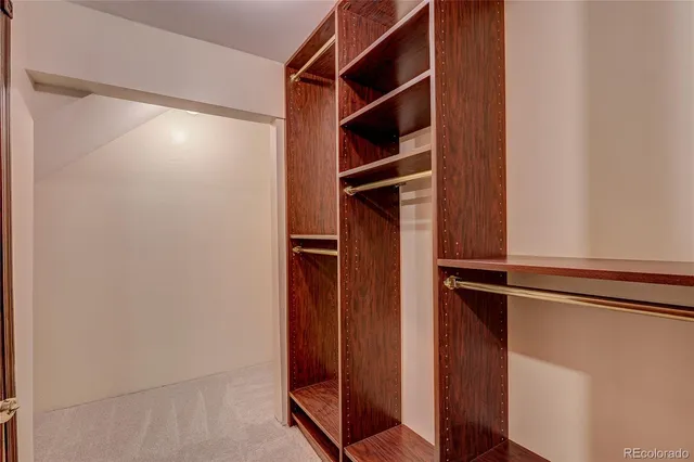 a view of walk in closet with empty racks