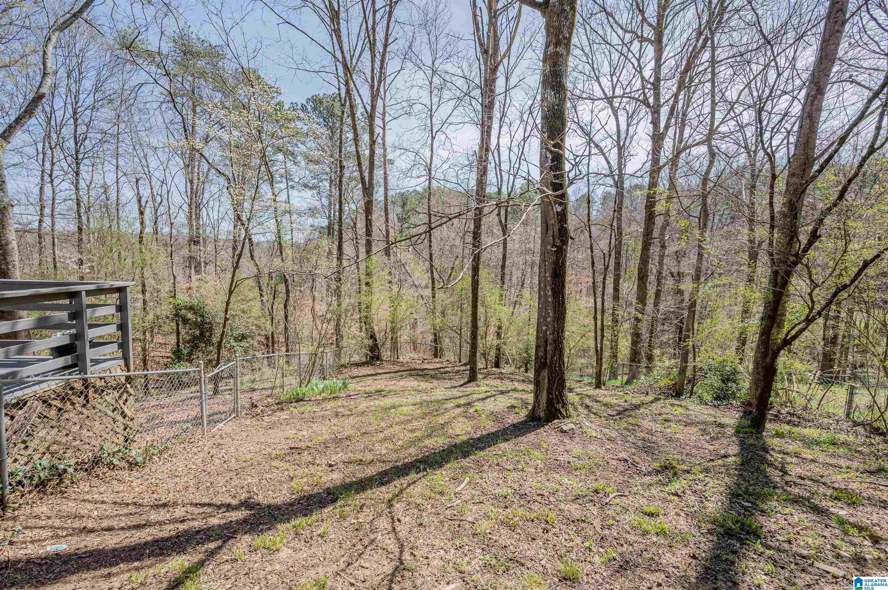 4339 Palisades Road Birmingham, AL 35210 - Photo 43 of 49