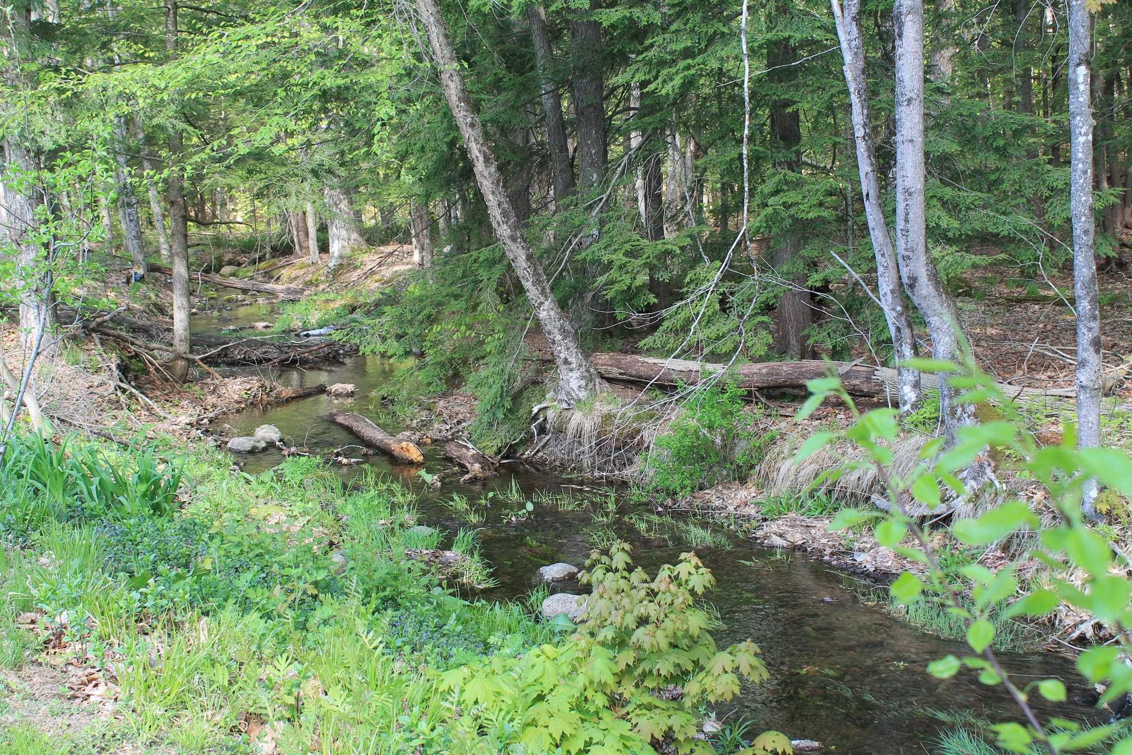 158 Pollard Road Lincoln, NH 03251 - Photo 12 of 49 Gallery Image 12
