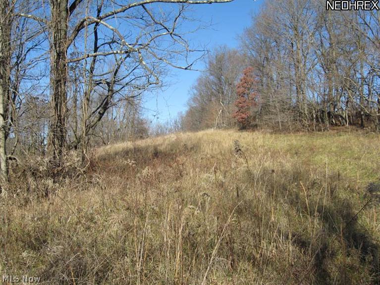 Harvey Chapel Road Logan, OH 43138 - Photo 7 of 11 Gallery Image 7