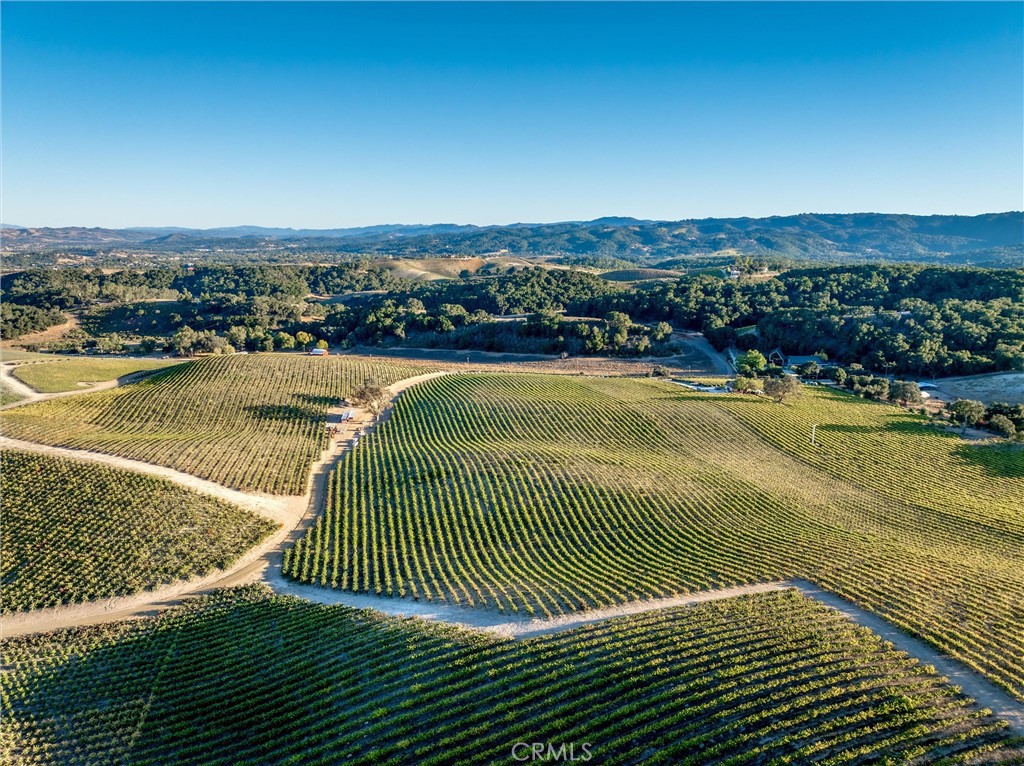 3000 Oakdale Road Paso Robles, CA 93446 - Photo 13 of 26 Aerial of northern edge of Cabernet block.