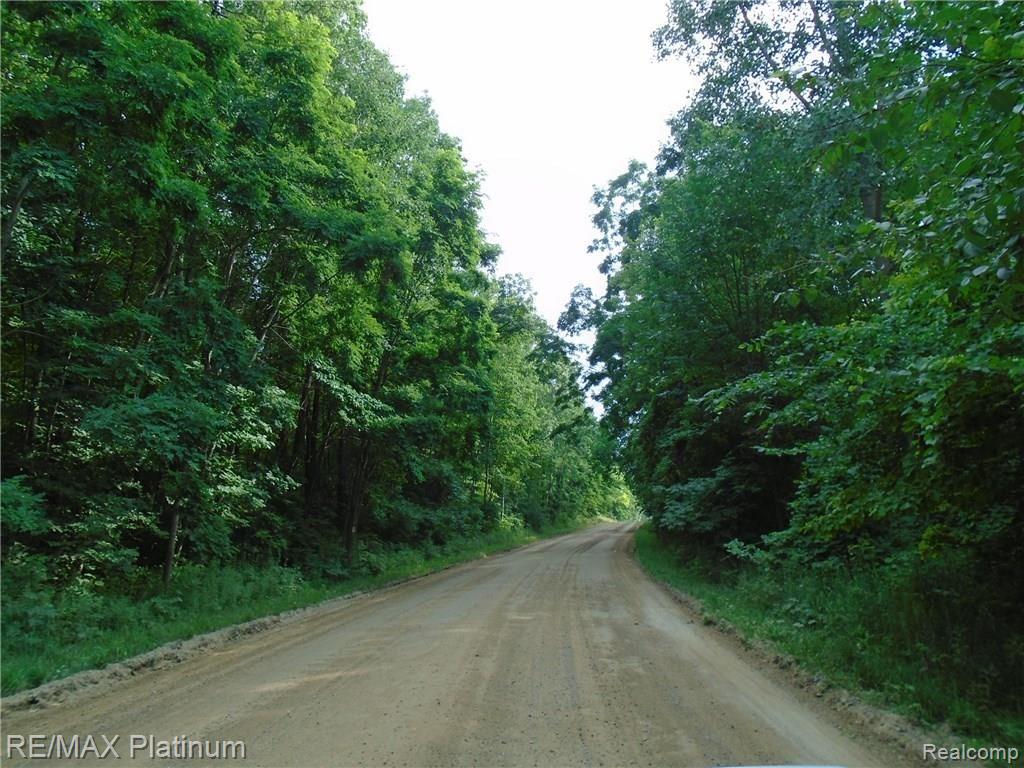 A2 Hartland Road Fenton, MI 48430 - Photo 3 of 6