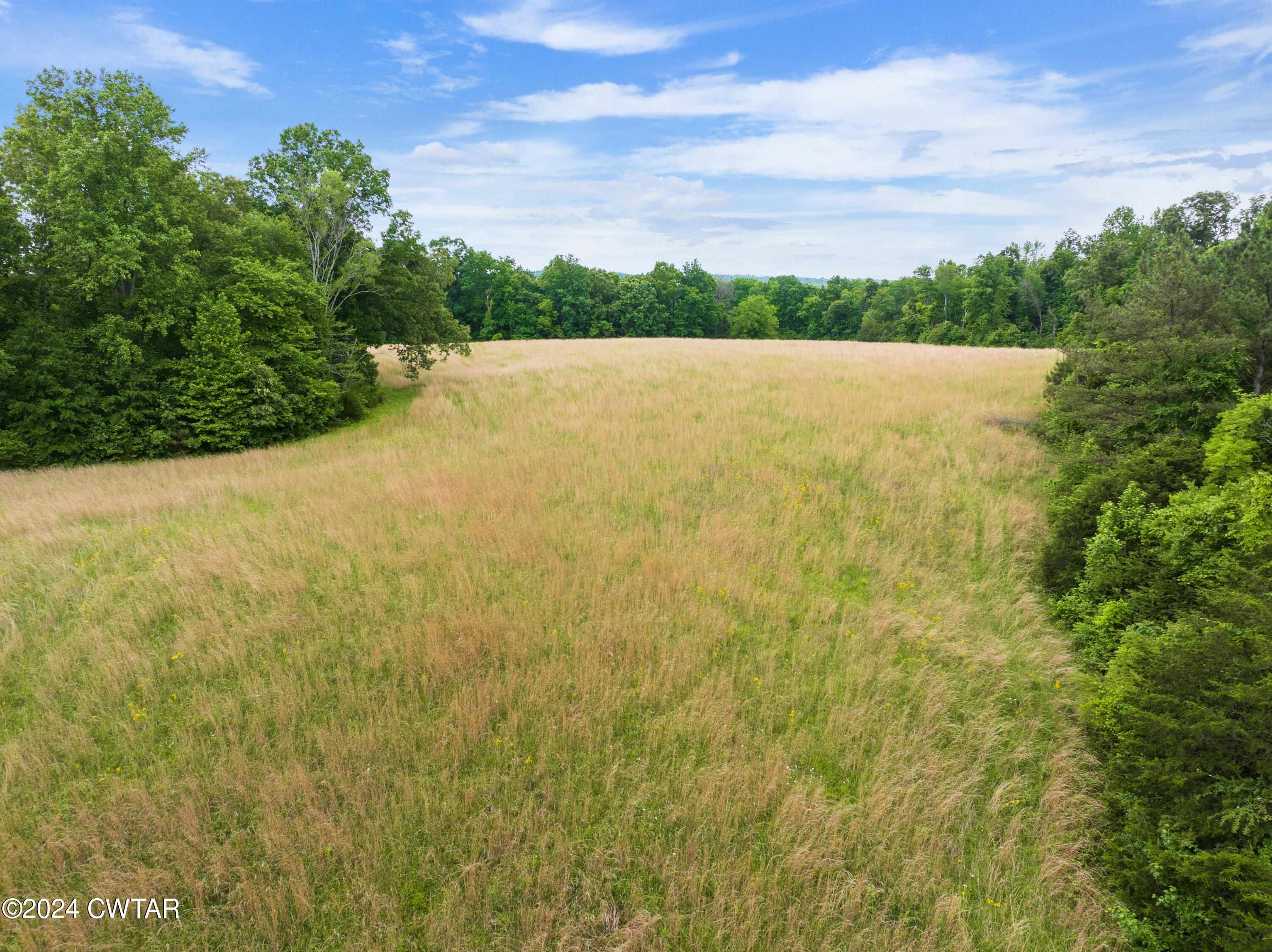 3 East Highland Street Decaturville, TN 38329 - Photo 6 of 6 DJI_20240515110729_0794_D
