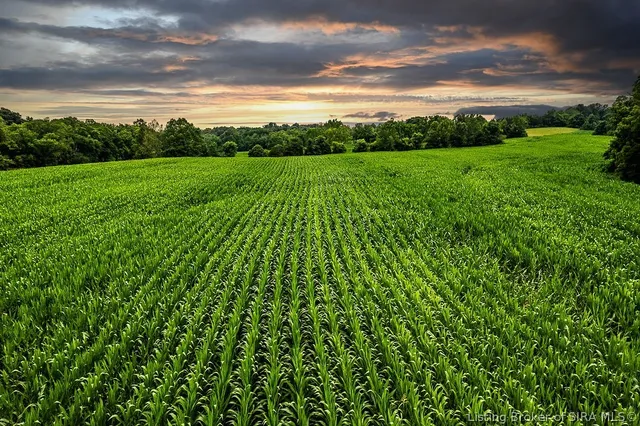 $695,000 | N West Grandview Road, Pekin, IN 47167