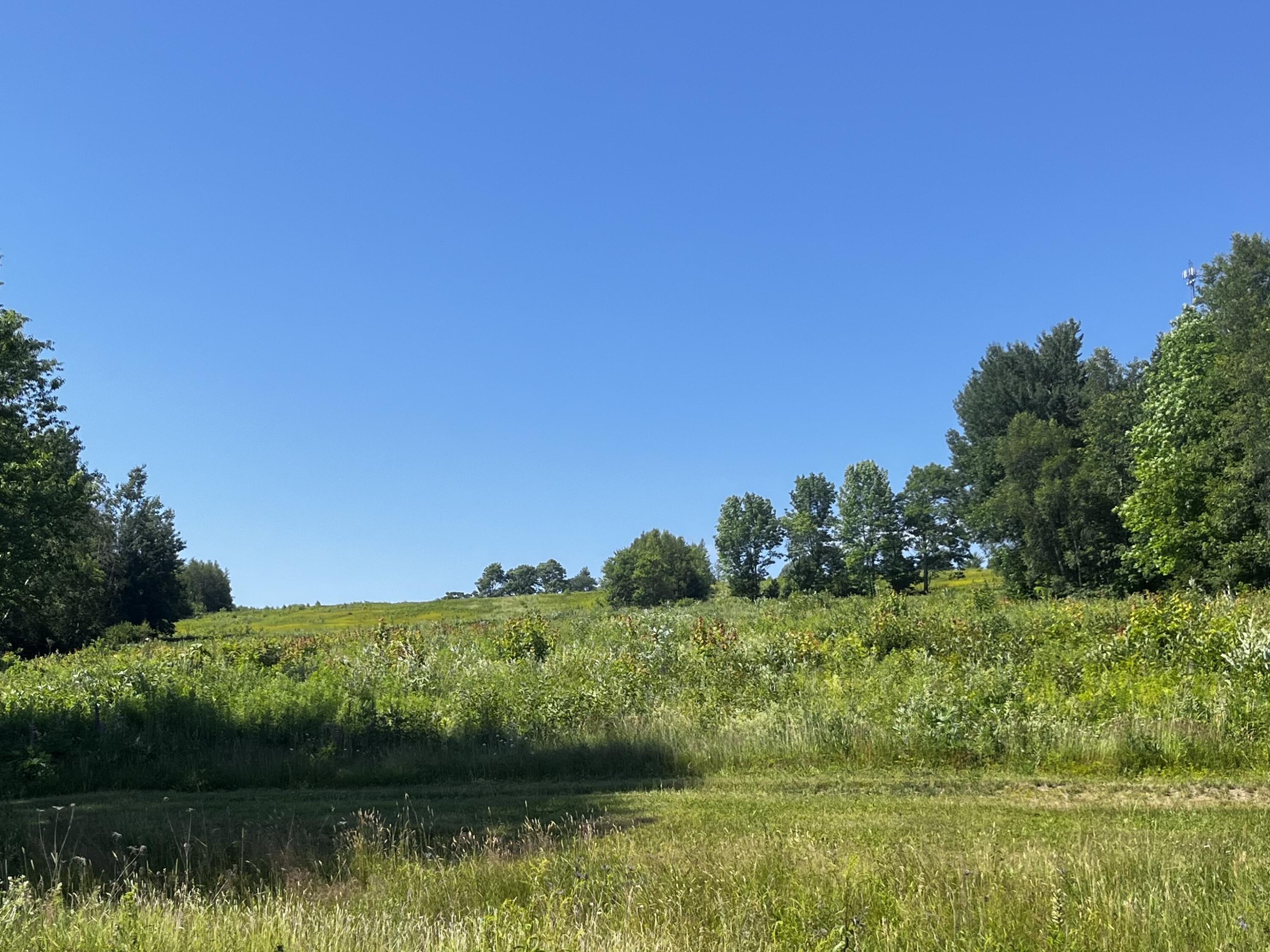 128 Old Airline Road Aurora, ME 04408 - Photo 11 of 74 Land in rear