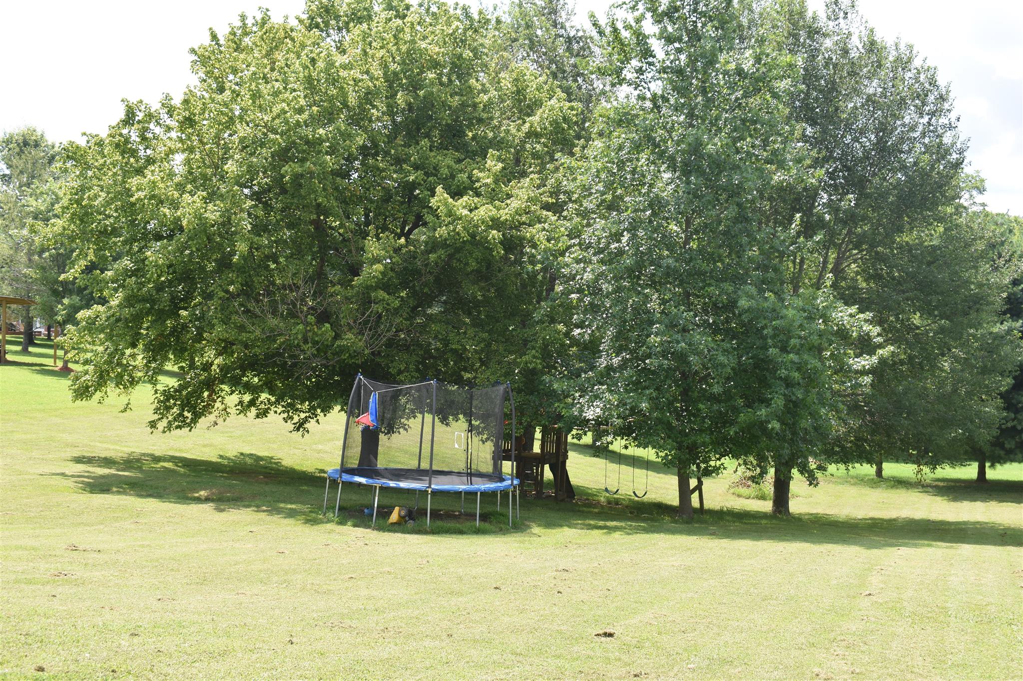 2456 Pleasant View Road Pleasant View, TN 37146 - Photo 16 of 16 The backyard with a custom swing set that can stay!