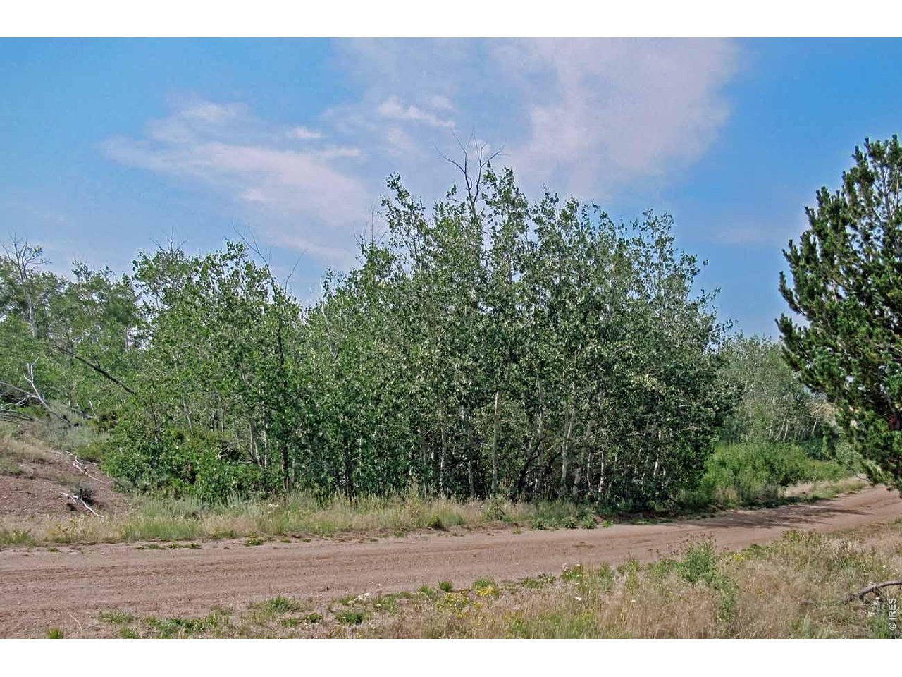 Wilderness Ranch Road Livermore, CO 80536 - Photo 11 of 15 Gallery Image 11