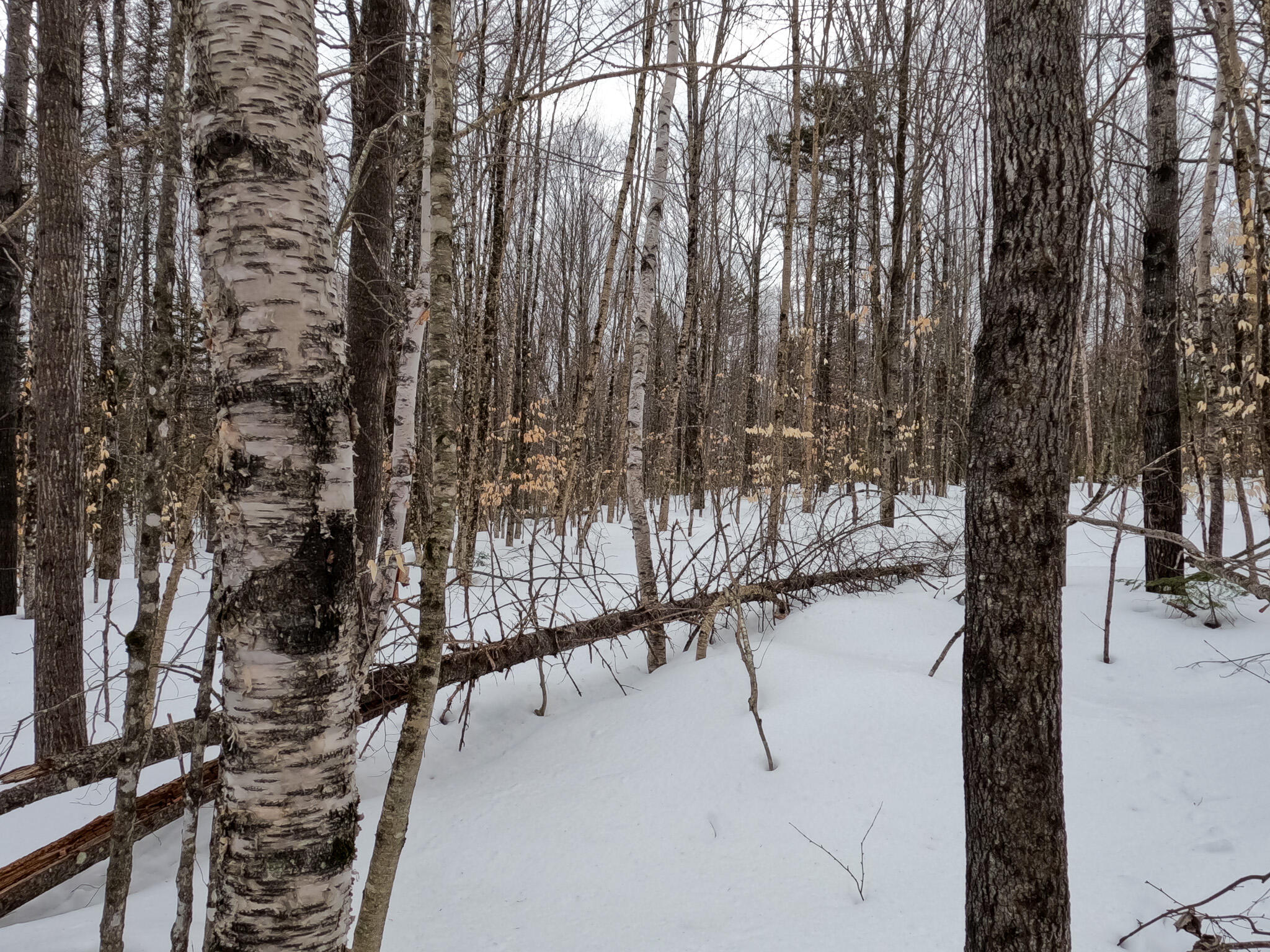 M2-l27-20 Smith Road Brownville, ME 04414 - Photo 10 of 27 GOPR0673