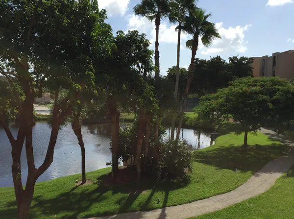 a view of a backyard