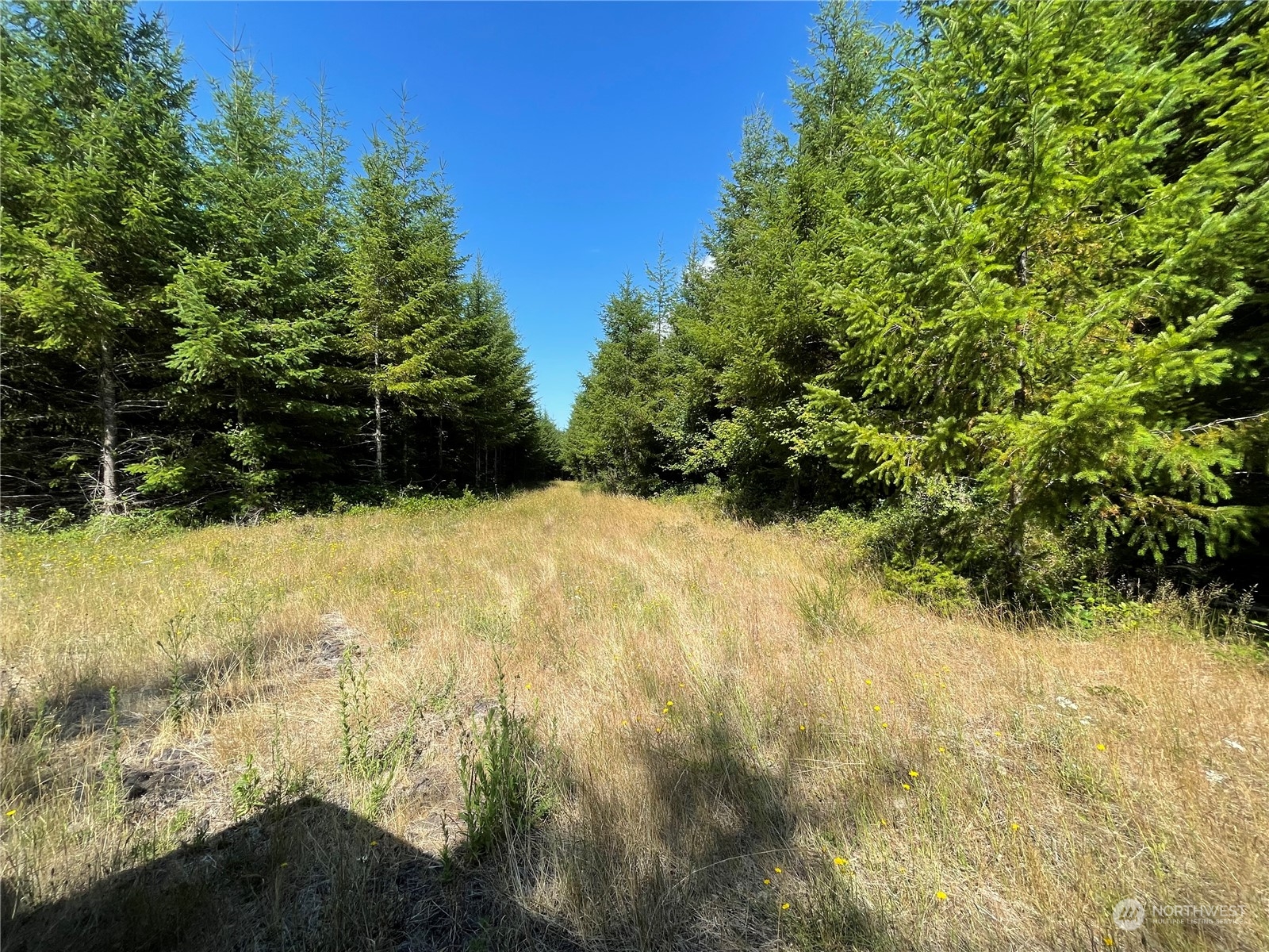 0 Kobe Road Chehalis, WA 98532 - Photo 1 of 13