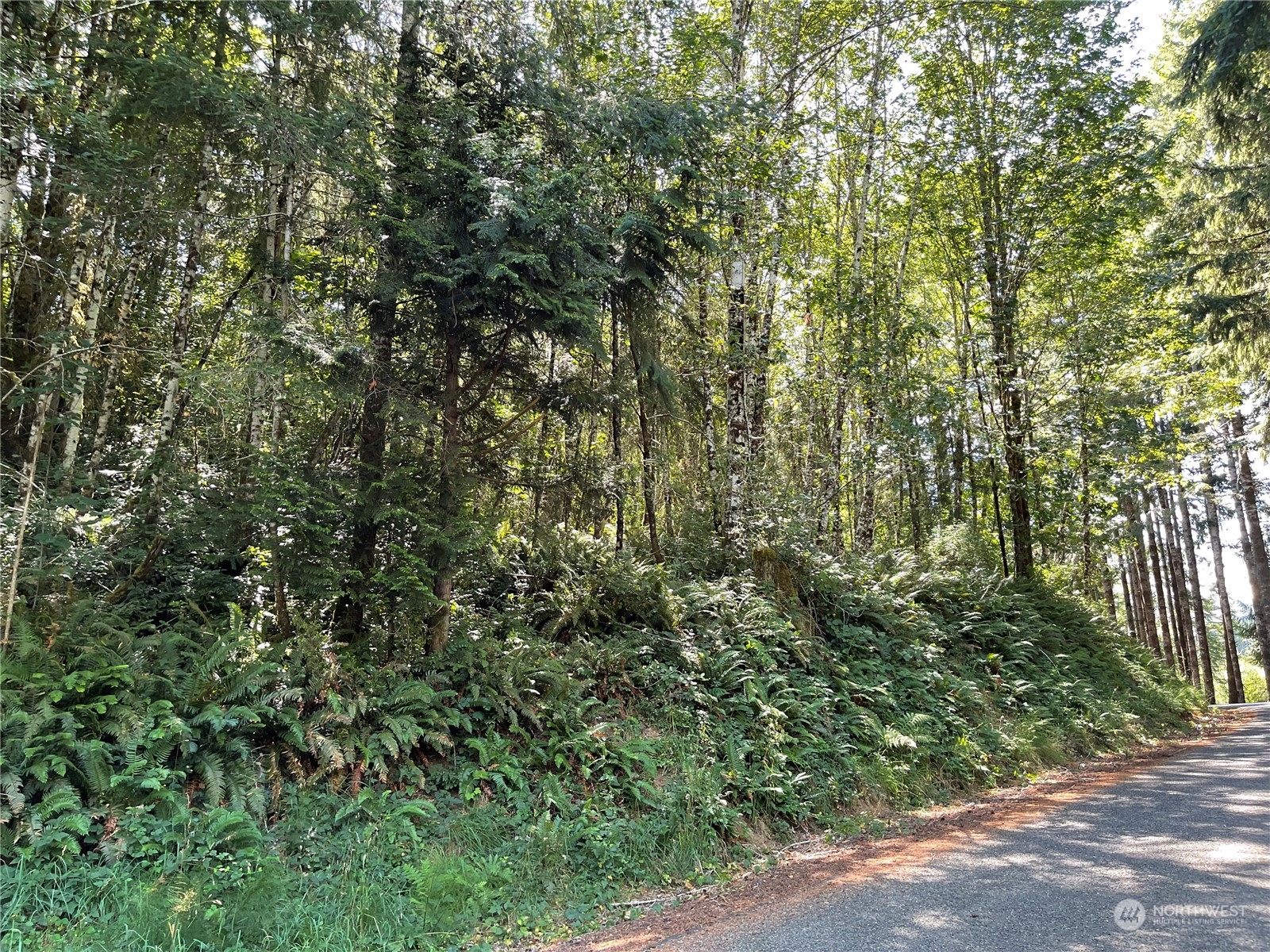 0 Kobe Road Chehalis, WA 98532 - Photo 4 of 13