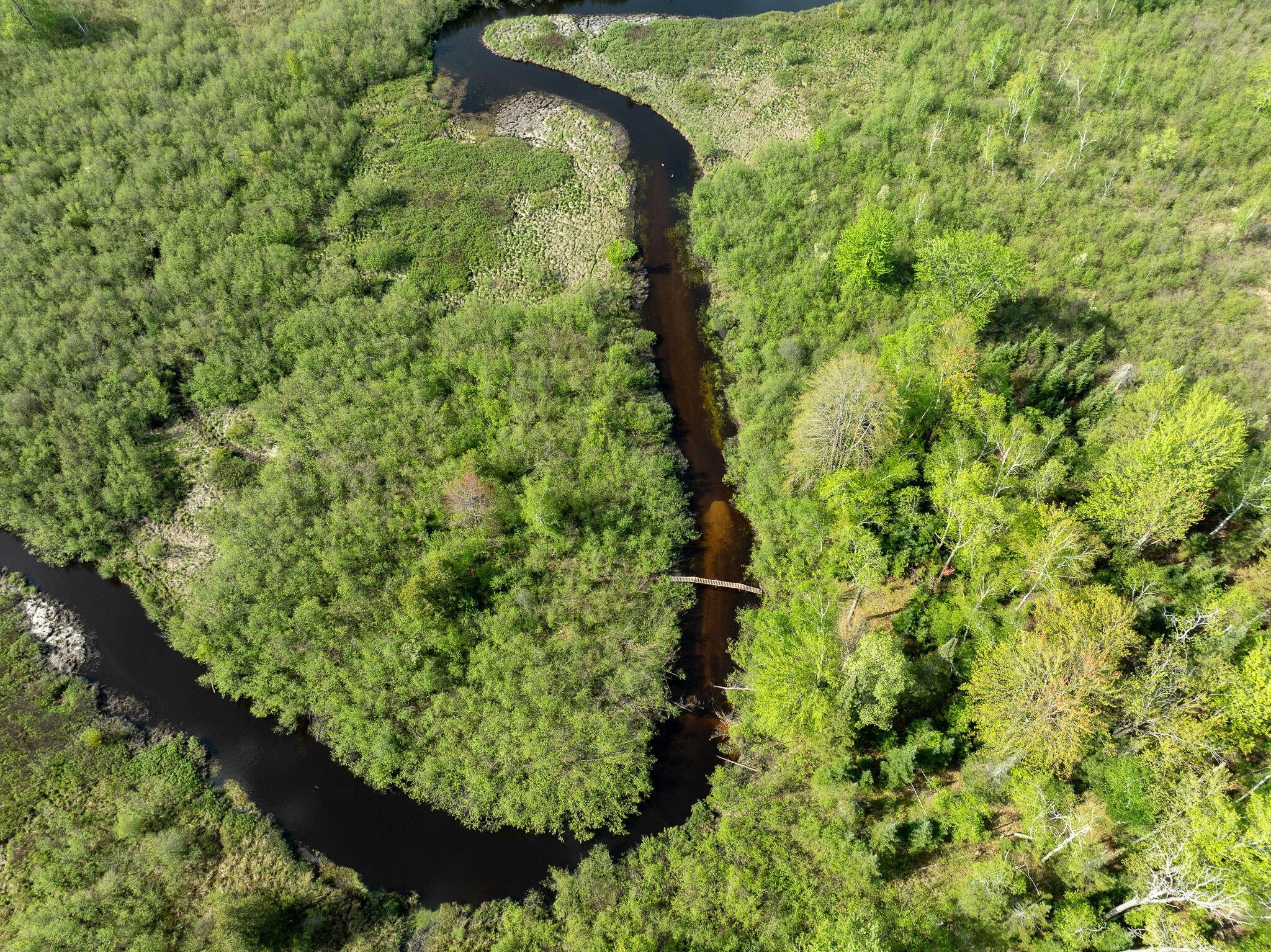 3 3 Mile Road Sears, MI 49679 - Photo 28 of 62 DJI_0341