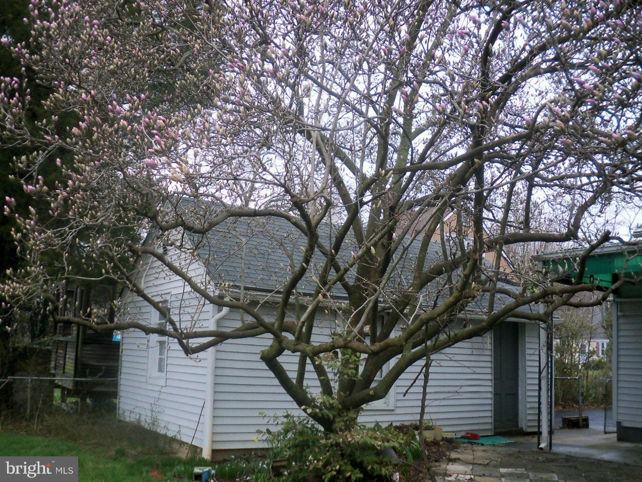 730 Cliffedge Road Pikesville, MD 21208 - Photo 8 of 11 Exterior (General)