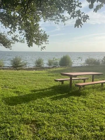 a view of an ocean and beach
