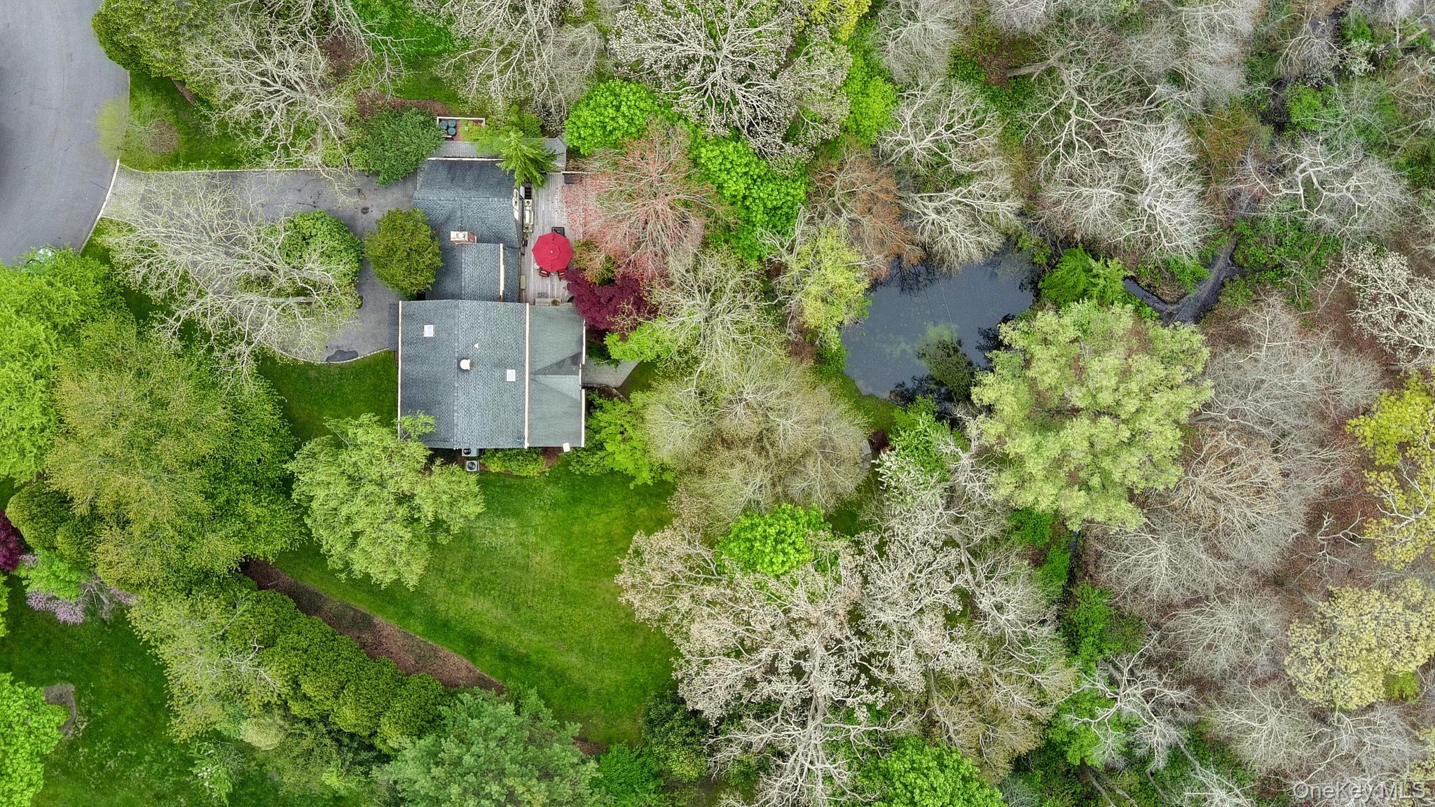 6 Prairie Lane Brookhaven, NY 11719 - Photo 3 of 31 6 Prairie Land with pond in backyard