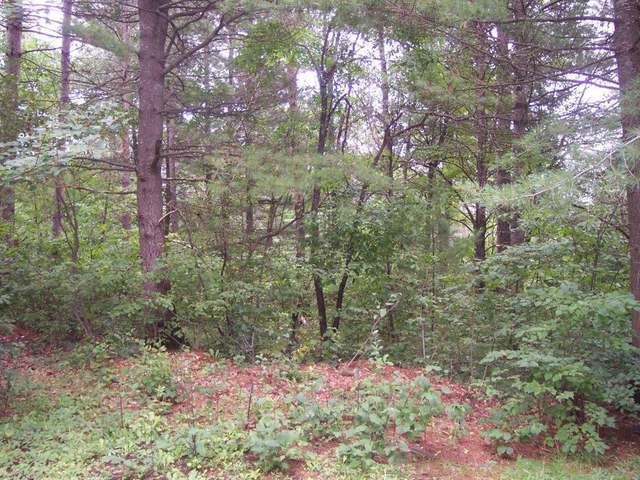 10418 S Road, Unit LOT 29 Tomahawk, WI 54487 - Photo 4 of 8 Gallery Image 4