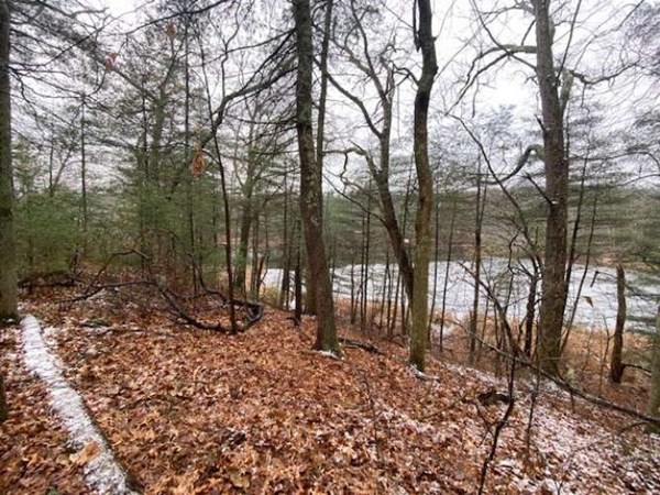 Lot 7 Bondsville Road Ware, MA 01082 - Photo 7 of 11 Gallery Image 7