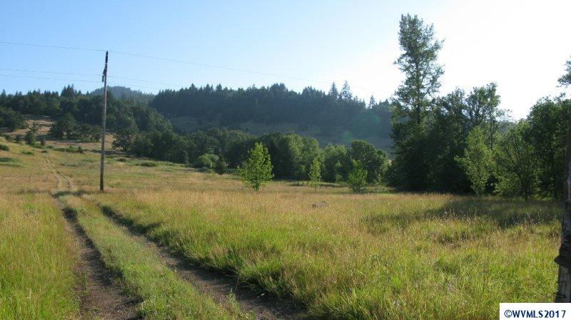 Camp Creek Springfield, OR 97478 - Photo 24 of 32 a view of a field with a tree