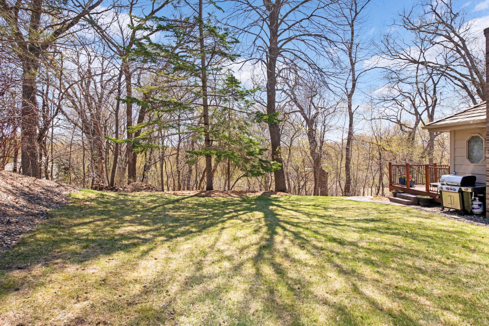 11797 Mt Curve Road Eden Prairie, MN 55347 - Photo 34 of 40
