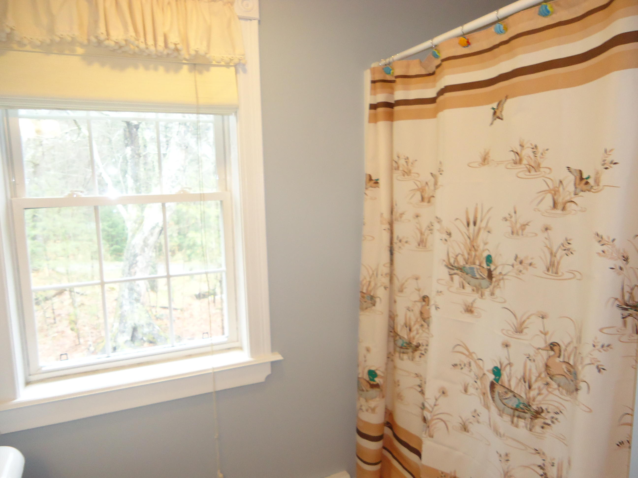 219 North Village Road Wells, ME 04090 - Photo 18 of 26 DSC09406