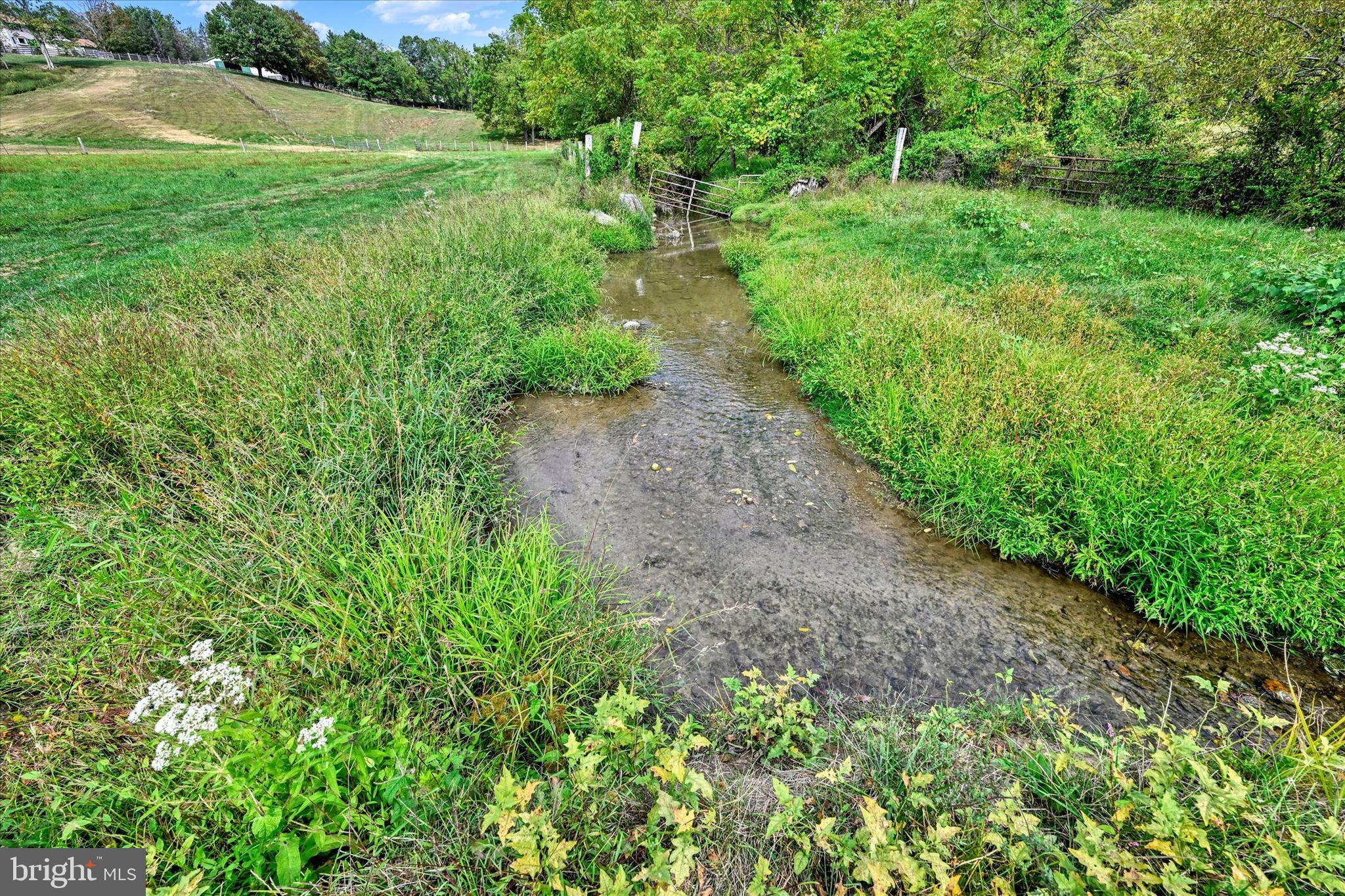 1485 Bachmans Valley Road Westminster, MD 21158 - Photo 51 of 60 Stream Access for Livestock