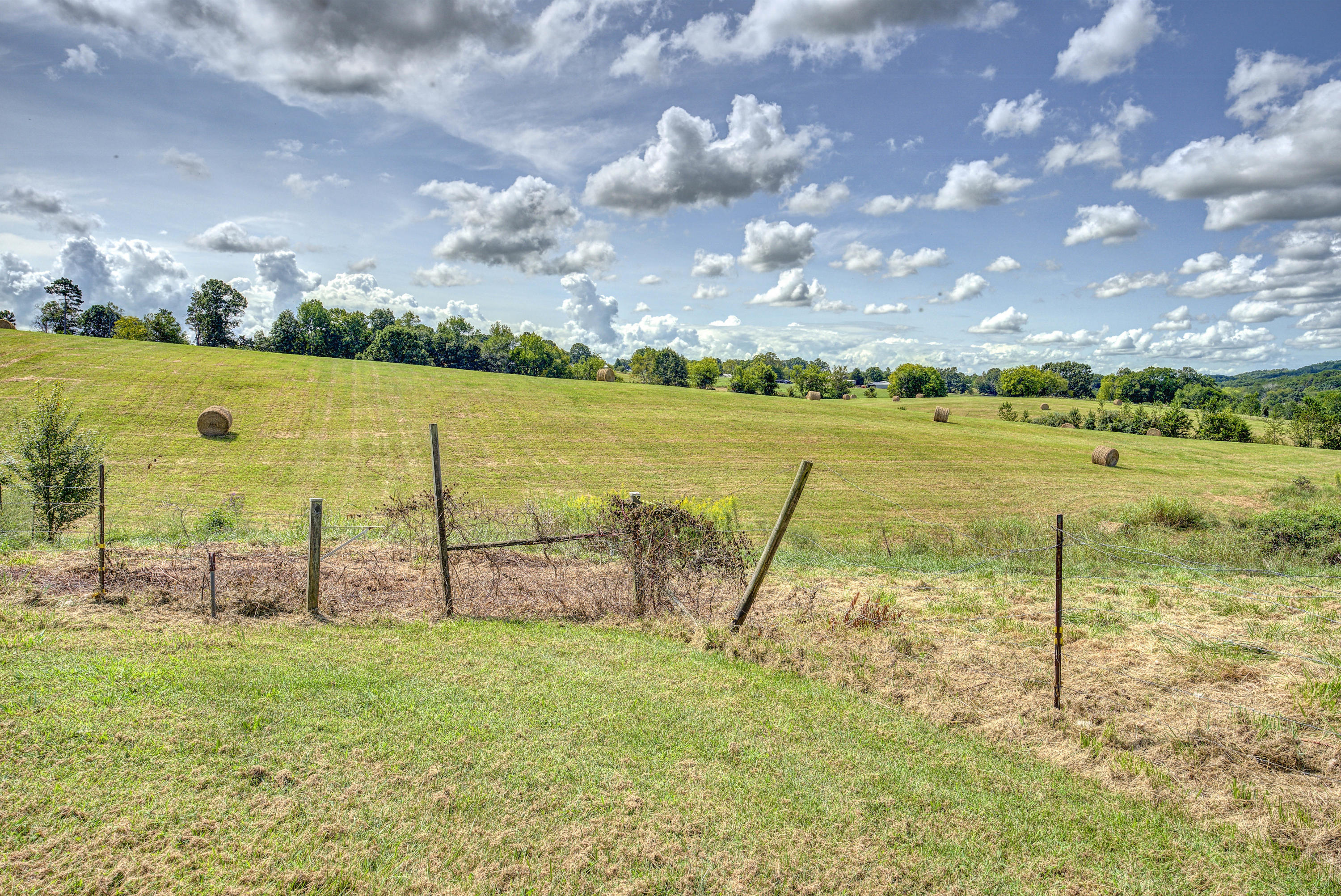 7675 Warrensburg Road Mosheim, TN 37818 - Photo 64 of 64 WarrenLAND--8