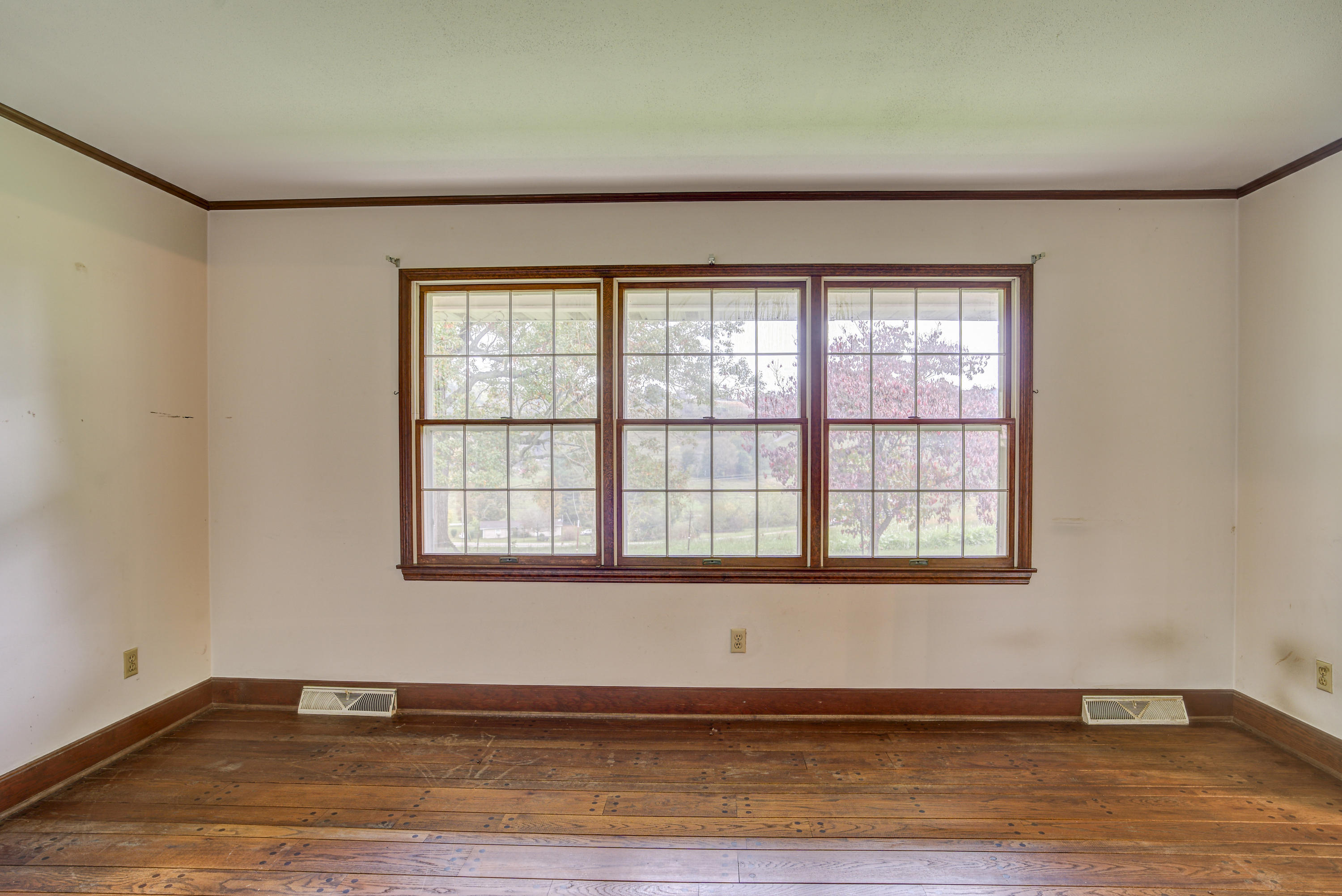 7675 Warrensburg Road Mosheim, TN 37818 - Photo 8 of 64 WarrensINT- (5 of 37)