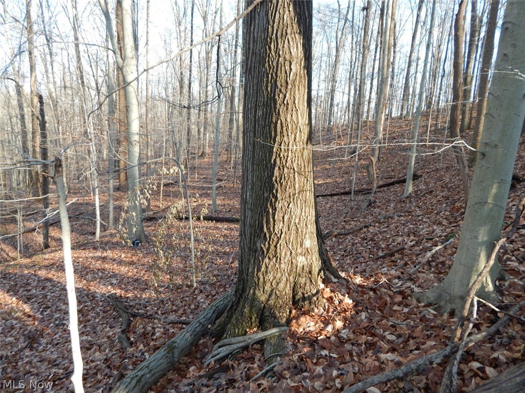 Mt Zion Road Harrisville, WV 26362 - Photo 6 of 23