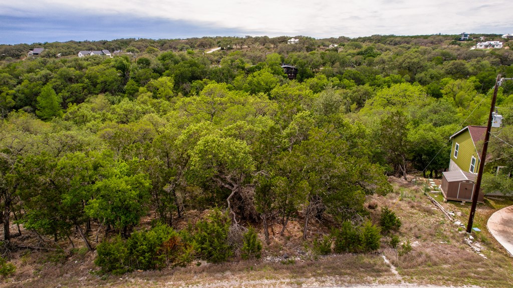 183 Other Spring Branch Spring Branch, TX 78070 - Photo 3 of 9