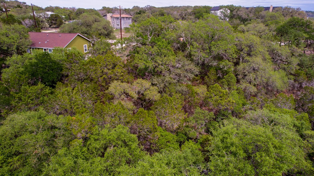 183 Other Spring Branch Spring Branch, TX 78070 - Photo 5 of 9