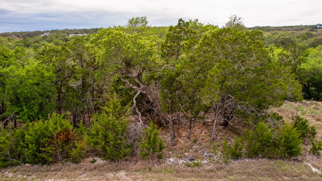 183 Other Spring Branch Spring Branch, TX 78070 - Photo 7 of 9