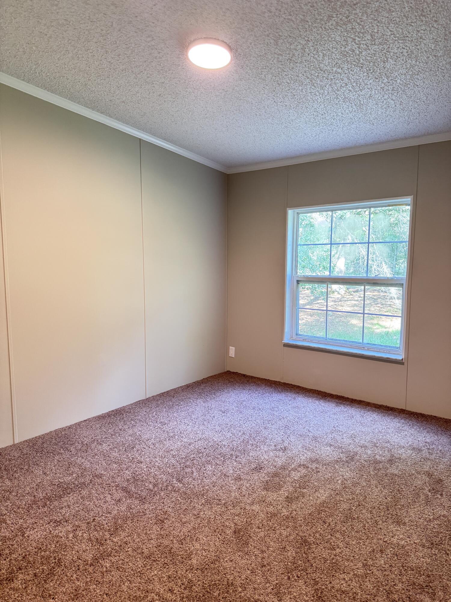 3486 Rehoboth Road Cottageville, SC 29435 - Photo 29 of 96