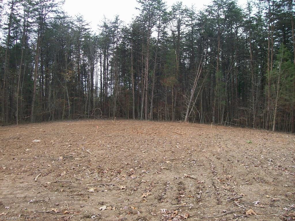 6395 Gumwood Road Oak Ridge, NC 27310 - Photo 3 of 10 Several trees for privacy