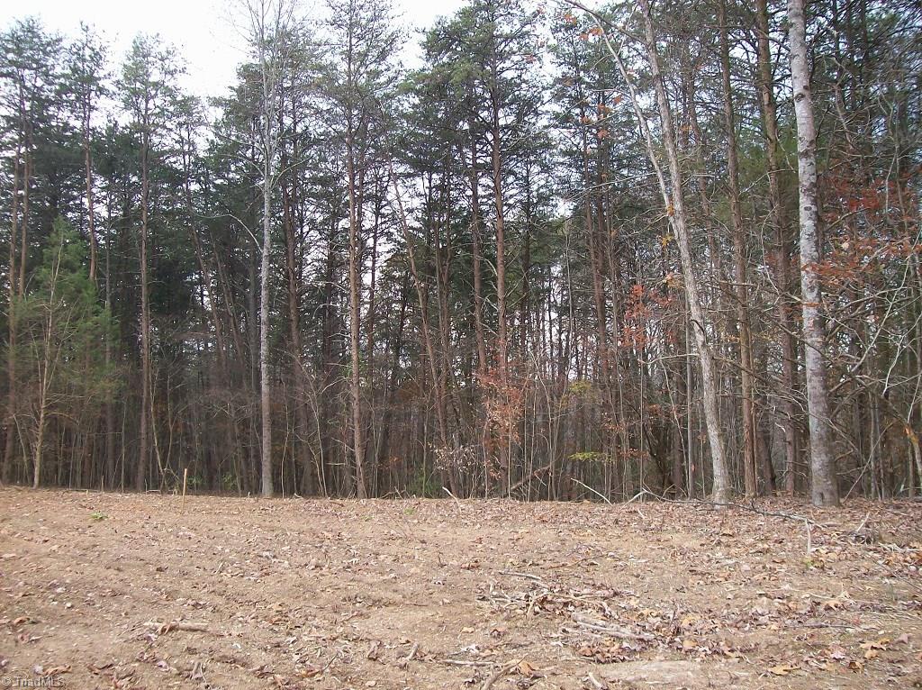 6395 Gumwood Road Oak Ridge, NC 27310 - Photo 4 of 10 Lot slopes off in rear to creek.